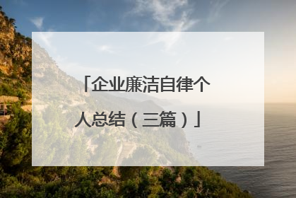 企业廉洁自律个人总结(三篇)