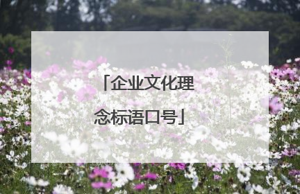 企业文化理念标语口号