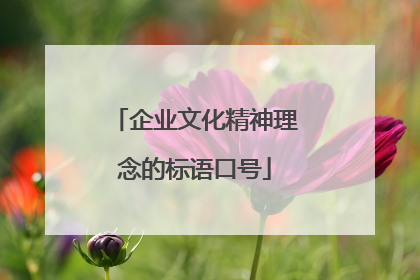 企业文化精神理念的标语口号
