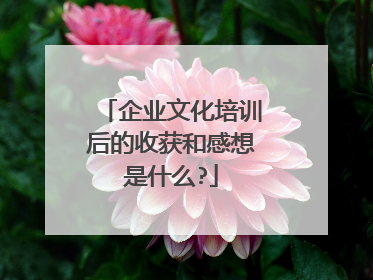 企业文化培训后的收获和感想是什么?