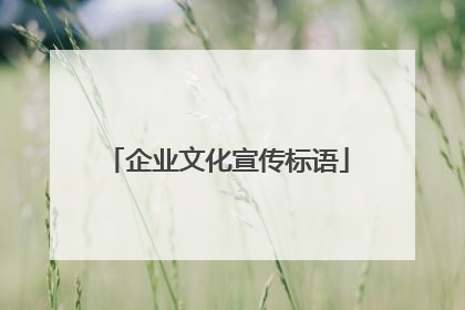 企业文化宣传标语