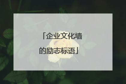 企业文化墙的励志标语