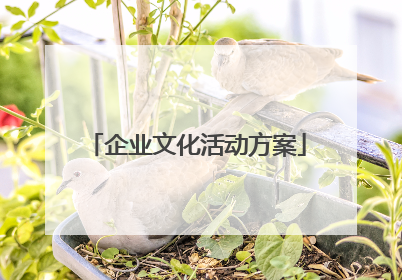 企业文化活动方案