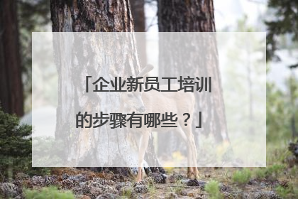 企业新员工培训的步骤有哪些？