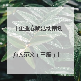 企业春晚活动策划方案范文（三篇）