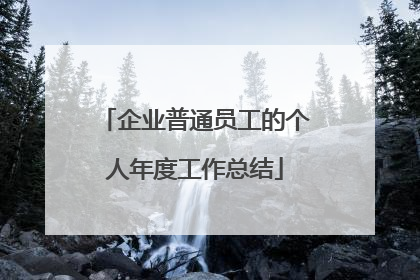 企业普通员工的个人年度工作总结