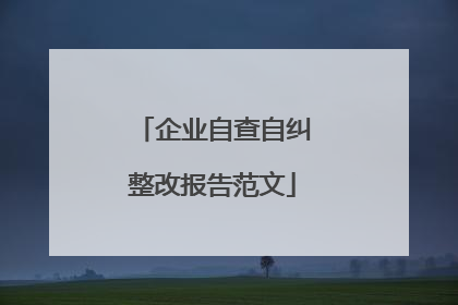 企业自查自纠整改报告范文