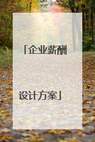 企业薪酬设计方案