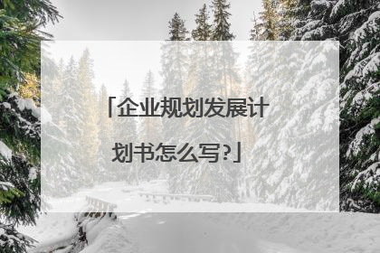 企业规划发展计划书怎么写?