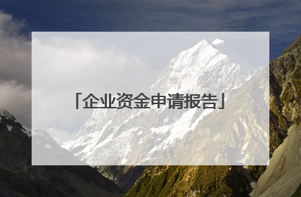 企业资金申请报告