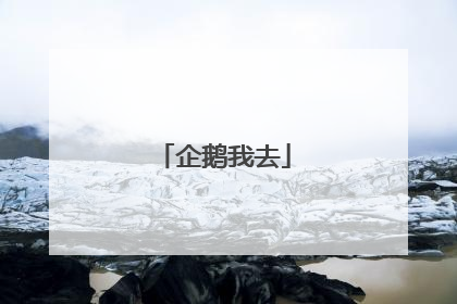 企鹅我去