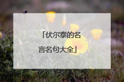 伏尔泰的名言名句大全