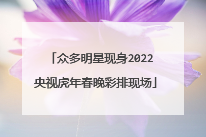 众多明星现身2022央视虎年春晚彩排现场