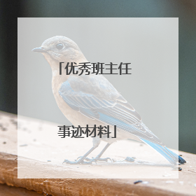 优秀班主任事迹材料