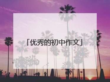 优秀的初中作文