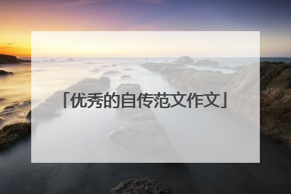 优秀的自传范文作文