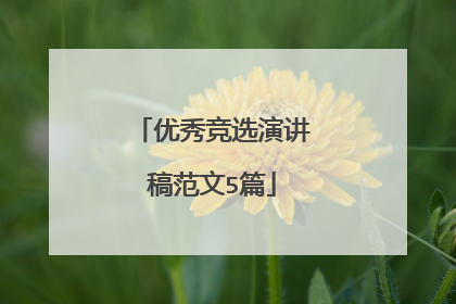 优秀竞选演讲稿范文5篇