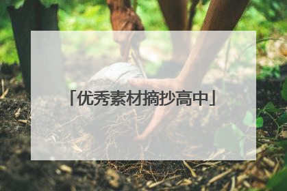 优秀素材摘抄高中