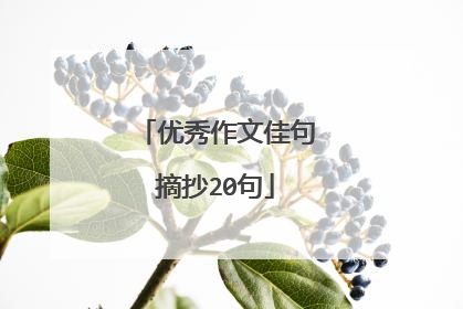 优秀作文佳句摘抄20句