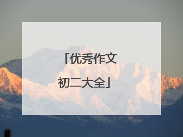 优秀作文初二大全