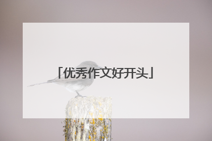 优秀作文好开头