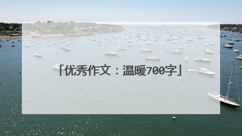 优秀作文:温暖700字