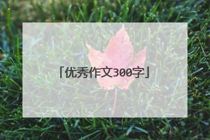 优秀作文300字
