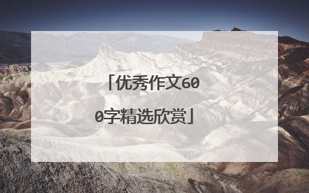 优秀作文600字精选欣赏