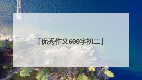 优秀作文600字初二