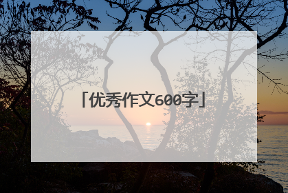 优秀作文600字