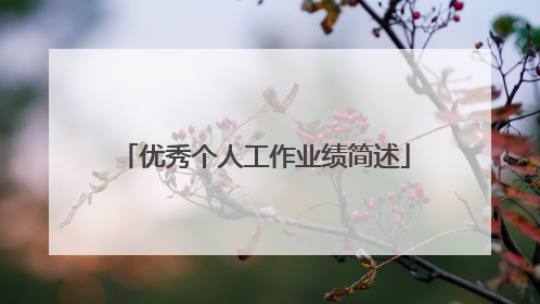 优秀个人工作业绩简述