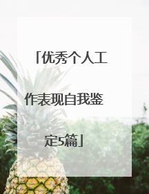 优秀个人工作表现自我鉴定5篇