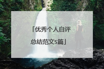 优秀个人自评总结范文5篇