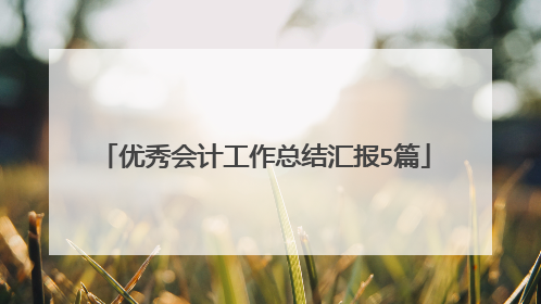 优秀会计工作总结汇报5篇