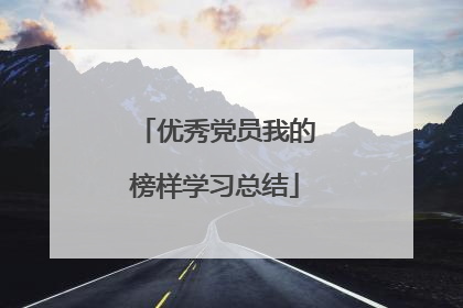 优秀党员我的榜样学习总结