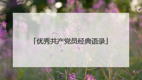 优秀共产党员经典语录