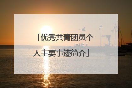 优秀共青团员个人主要事迹简介