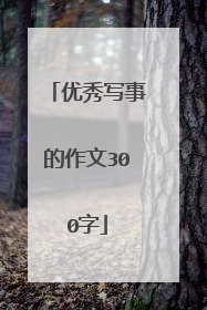 优秀写事的作文300字