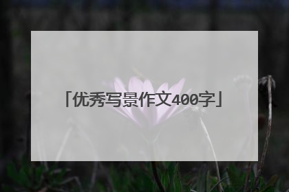 优秀写景作文400字