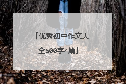 优秀初中作文大全600字4篇