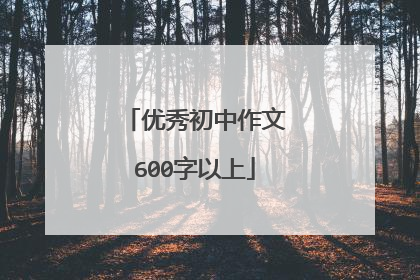 优秀初中作文600字以上