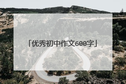 优秀初中作文600字