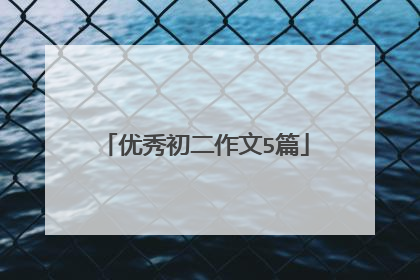 优秀初二作文5篇