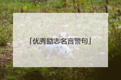 优秀励志名言警句