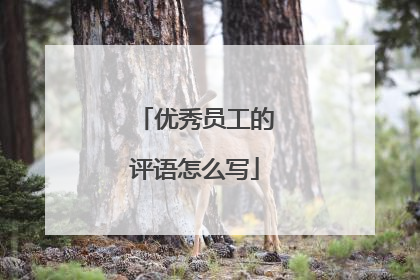优秀员工的评语怎么写