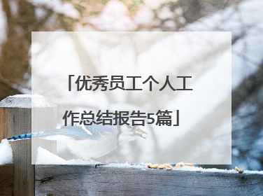 优秀员工个人工作总结报告5篇