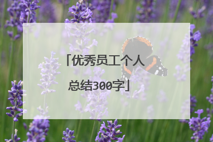优秀员工个人总结300字