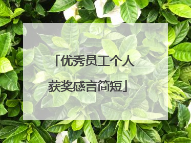 优秀员工个人获奖感言简短