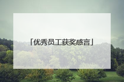 优秀员工获奖感言