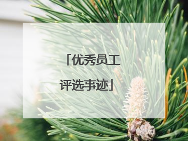 优秀员工评选事迹